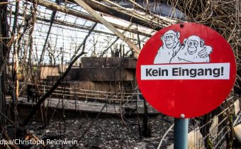 Steht die Eröffnung des Berliner Flughafens BER Nun Unmittelbar Bevor? – Meldung von BSSP BRANDSCHUTZPLAN